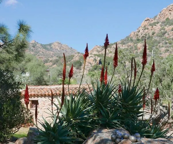 Сasa de vacaciones Su Crastu Cala Liberotto