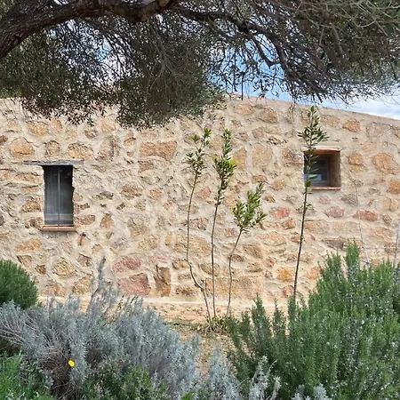 Su Crastu Holiday home